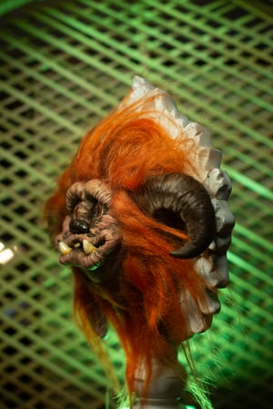 Image of Ludo 