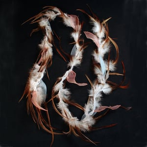 Image of P65 December Morning Feather Scarf