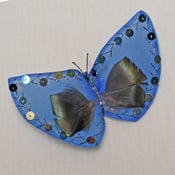 Image of T33   Blue Butterfly