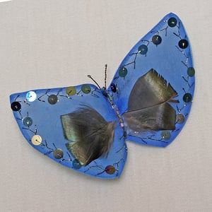 Image of T33 Blue Butterfly