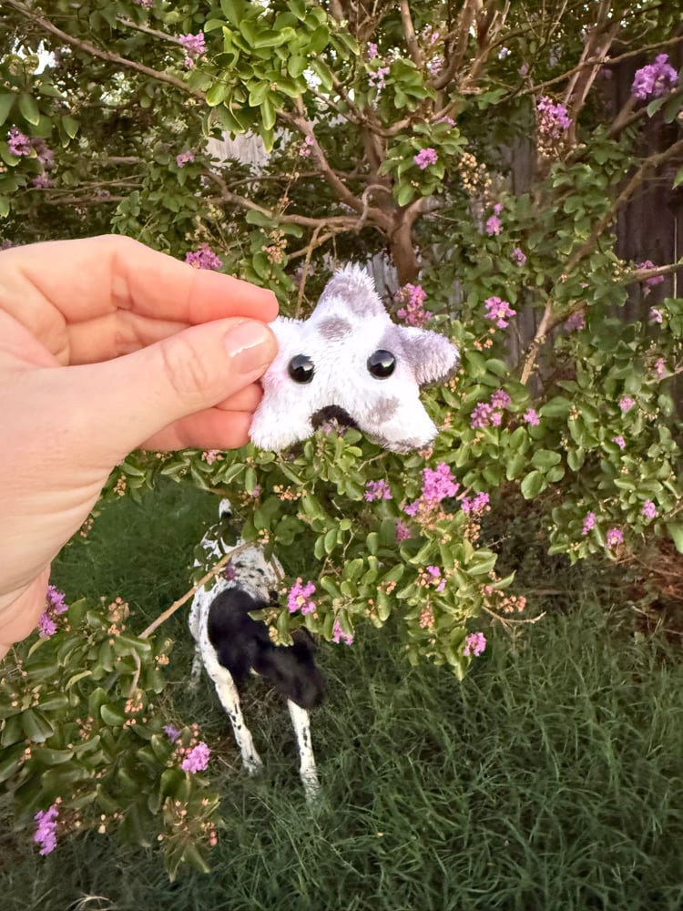 Image of Tiny star cow print 1