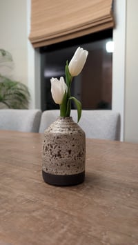 Image 2 of Birch Bark on Black Cruet