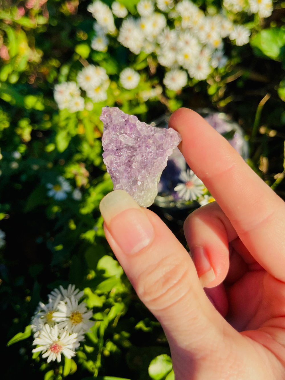 Image of Amethyst Cluster