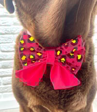 Image 7 of Neon Animal Print Bow Tie / Sailor Bow copy