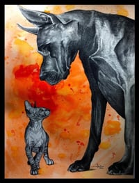 Image 1 of Orange Encounter