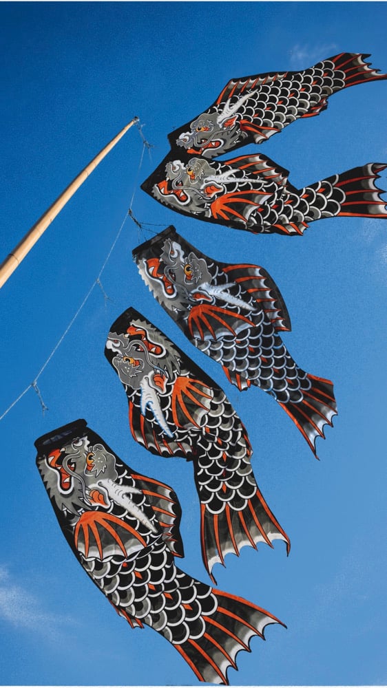 Image of KOINOBORI