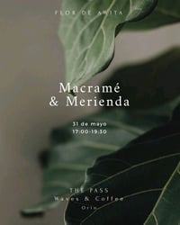 Image 2 of Taller macetero colgante