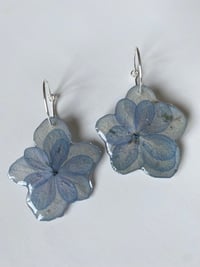 Image 1 of Hydrangea Hoops