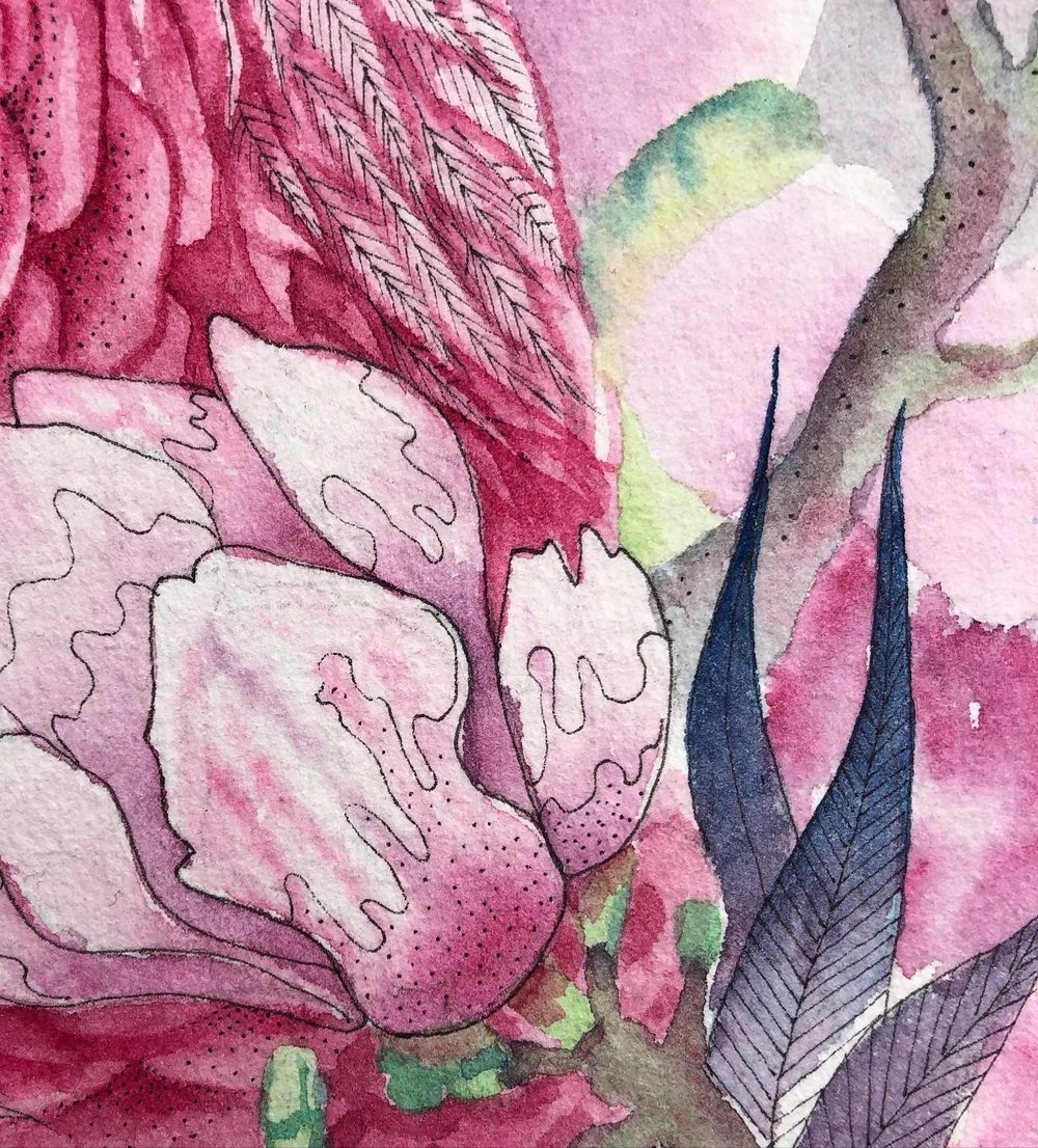 Image of Spring Vulture