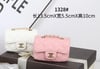 Mini Chani Classic Bag