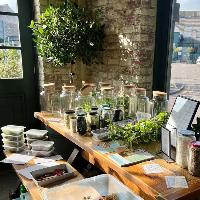 Terrarium Creations - Tropical terrarium workshop