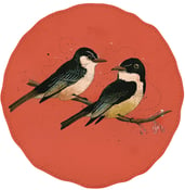 Image of Pair of Phoebes
