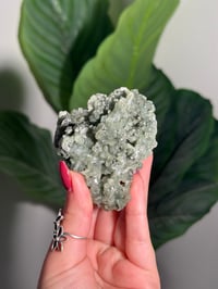Image 1 of BOWTIE PREHNITE -INDIA- G