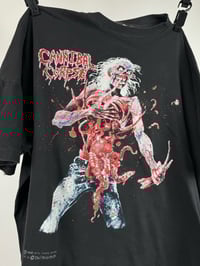 Image 2 of 1992 Cannibal Corpse Eaten Back to Life 
