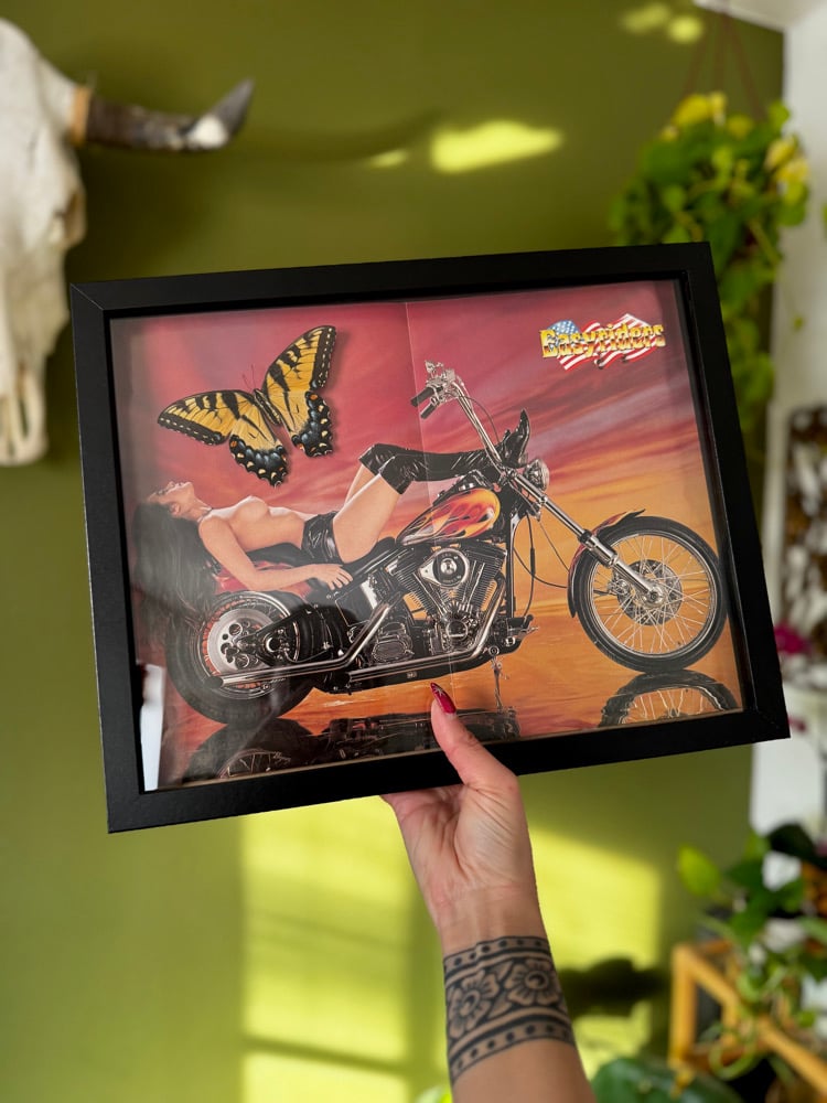 Image of Easy Riders
