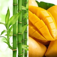 Image 1 of WASH DAY-Bamboo,Mango