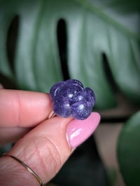 Image 1 of Mini Succulent Collection 