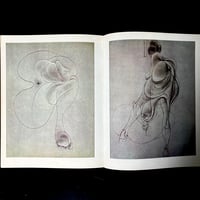 Image 10 of Le Sang et la Rose #4