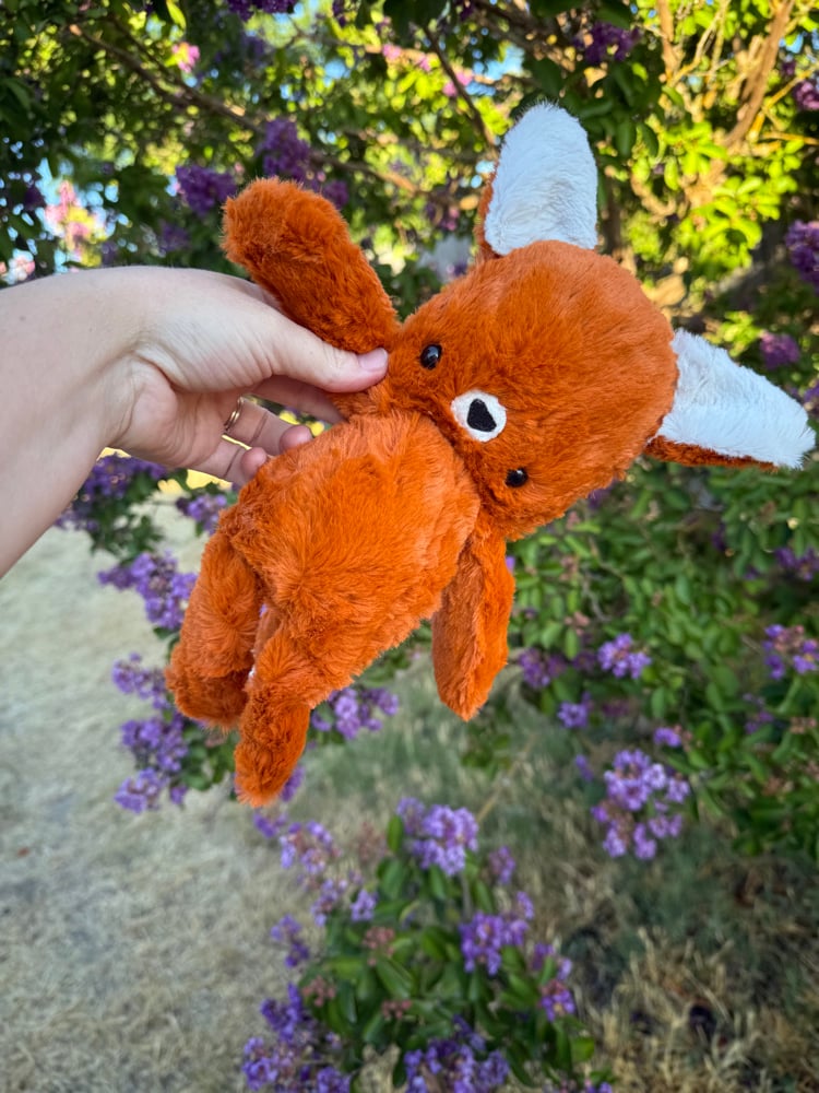 Image of Orange fox