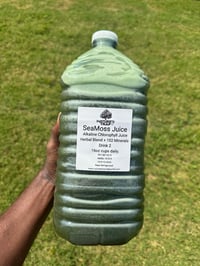 Alkaline Chlorophyll Sea Moss Juice