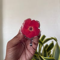 Image 1 of Hau Badge Reel