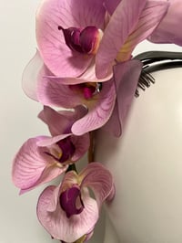 Image 2 of Lilac orchid trail