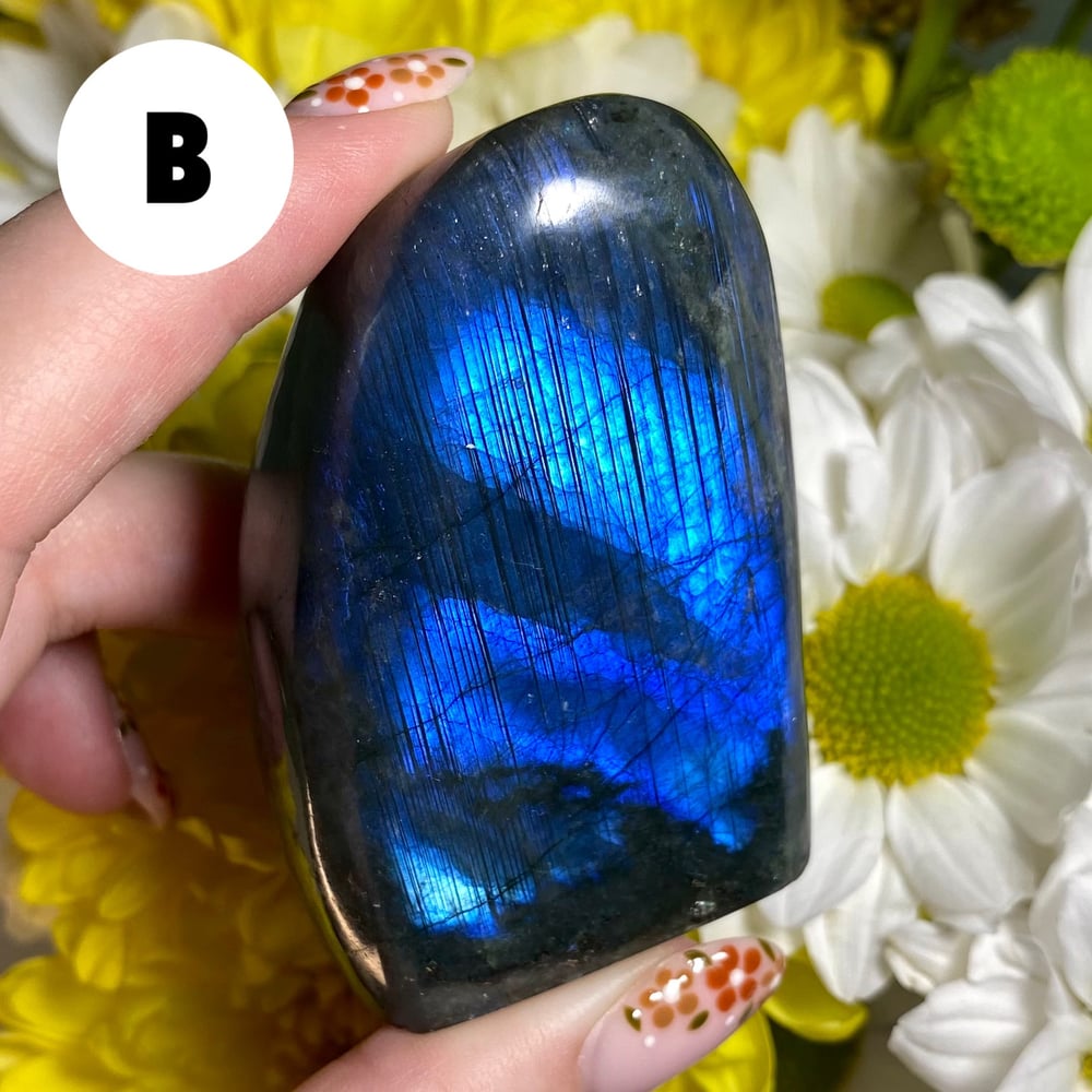 Image of Labradorite Freeform (small)