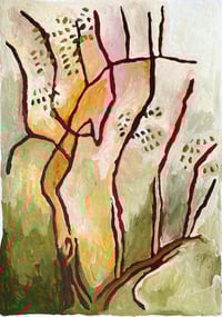 Image 2 of desert rain/relief |