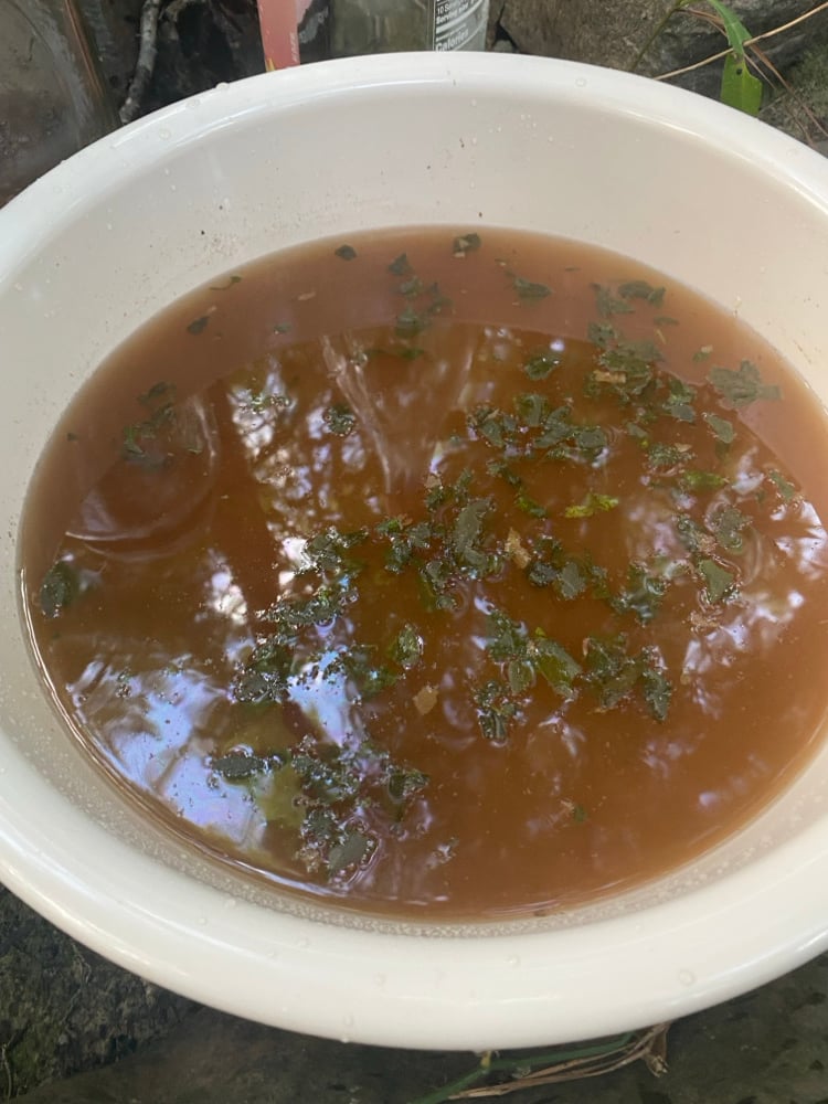 Image of  Spiritual Baths