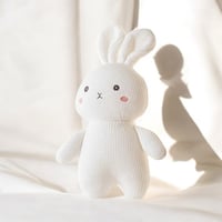 Image 3 of Baby Hamper Pink leaves/ Bunny