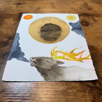 Image 2 of “Coastal Beast”