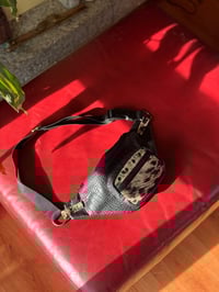 Image 1 of Leo Funny Pack