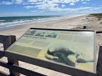 Image 6 of Turtle Love Tapestry 