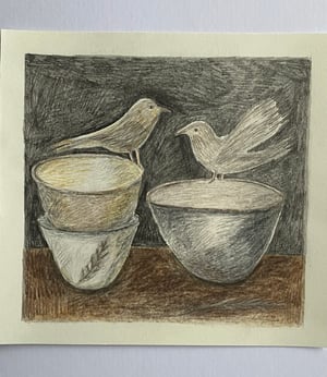 Image of Birds and wintry bowls 