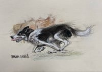 Image 5 of 6 Scruffy Wuffys and Scribbly Dogs Greeting Cards   