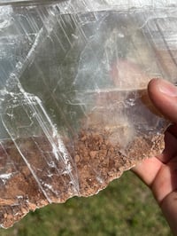 Image 13 of Transparent Selenite Slab #2262