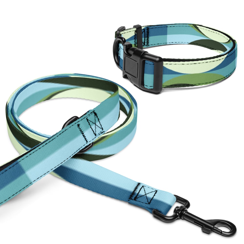 Image of Pet collar & leash Blue Ice