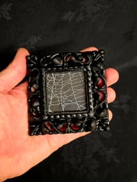 Image 2 of Ornate Square Black gothic preserved web - 3