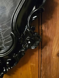 Image 2 of Antique ornate frame with a real preserved walnut orbwiever spider web 