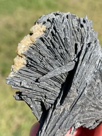 Image 4 of Black Kyanite Fan Specimen #1975