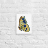 Image 4 of Canvas of Butterfly