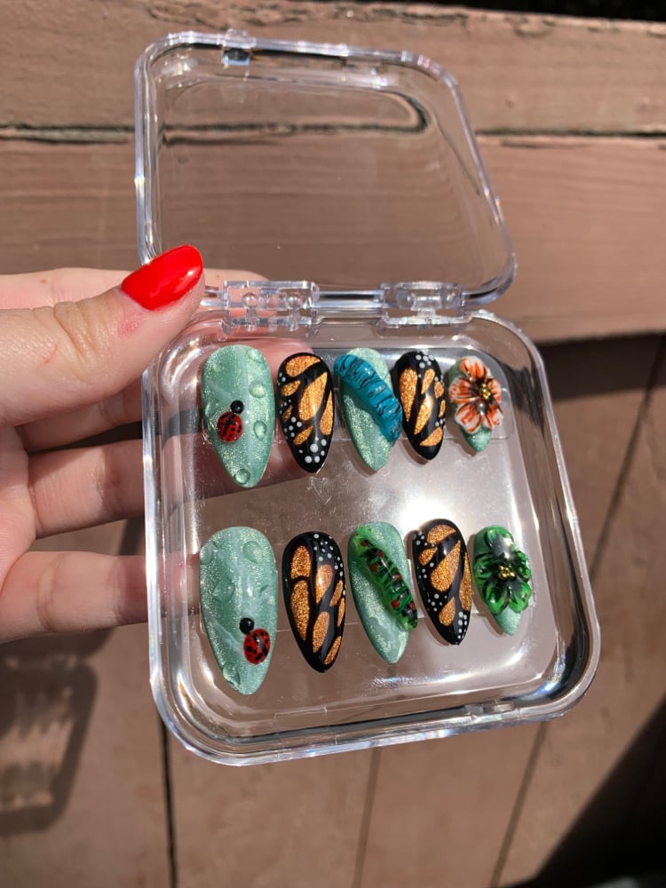 Image of Butterfly & Ladybug