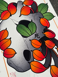 Image 1 of Cubone Chrysanthemum 