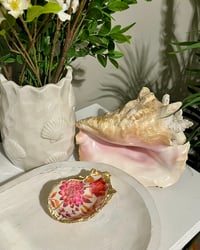 Image 1 of Oyster Shell Trinket Dish OT100