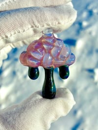 Northern Lights Raincloud