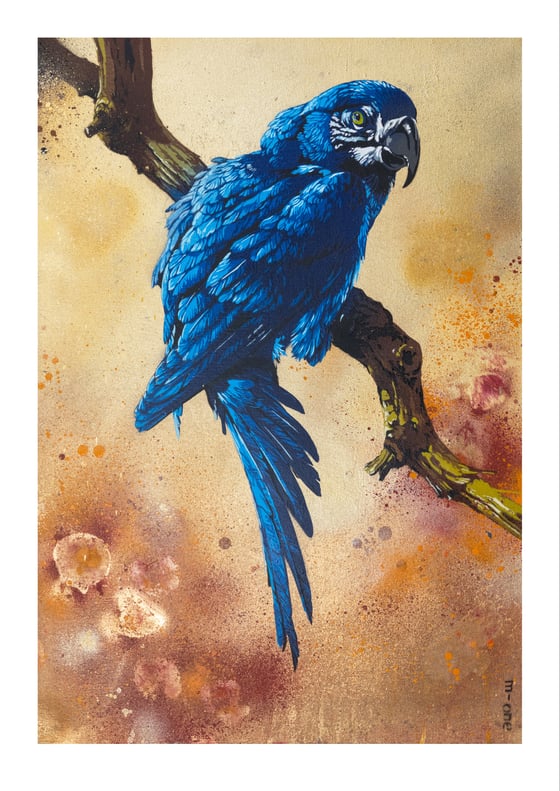 Image of Blue Macaw