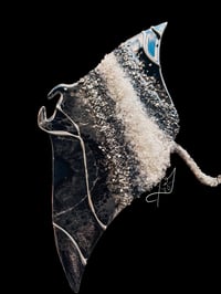 Image 1 of Kona Nightsnorkel