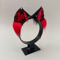 Image 3 of Red Star Kitten