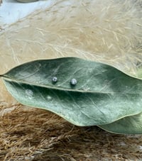 Image 1 of Inari Organics 
