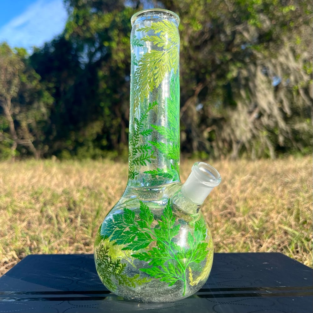 Image of ferny 8"